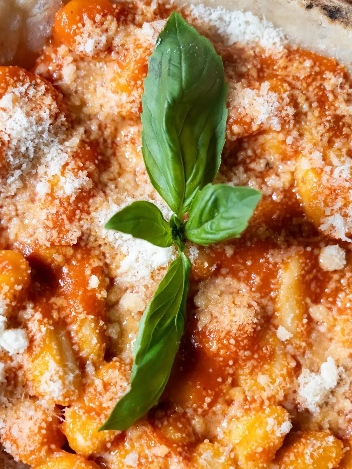 Gnocchi alla Sorrentina : sauce tomate, mozzarella, grana padano et basilic, POMOZZA Bourg-la-Reine et Toulouse